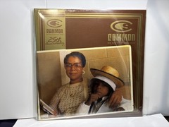 Common – One Day It’ll All Make Sense 2LP 25th Anniversary (Caramel Swirl Vinyl)