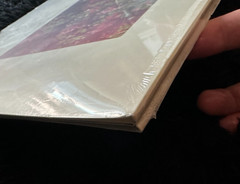 Lana Del Rey Honeymoon Red Vinyl COLLECTIBLE Grade. AMAZING CONDITION!