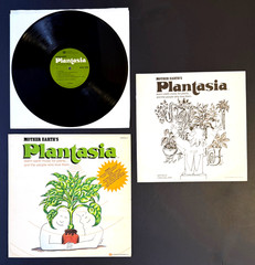 MORT GARSON Mother Earth’s Plantasia 1976 ORIGINAL VINYL LP Synth Moog NICE COPY